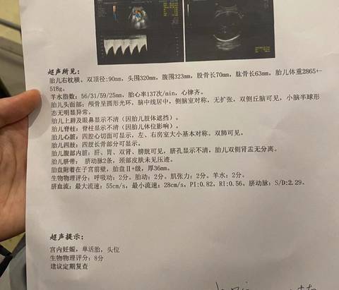 journal_insert_pic_1719943151