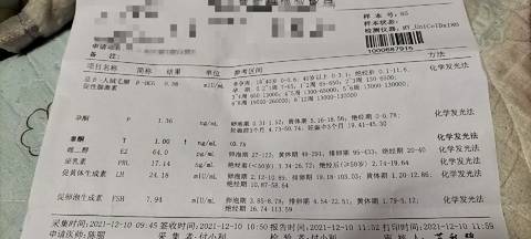 journal_insert_pic_1677653542