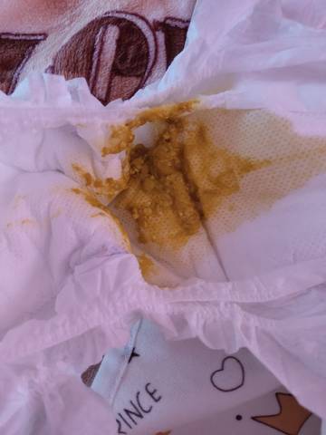 journal_insert_pic_1676144710