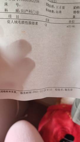journal_insert_pic_1688733953