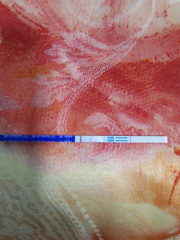 journal_insert_pic_1675745818