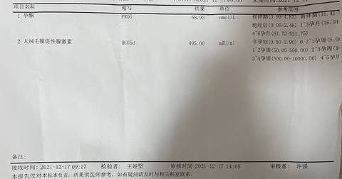 journal_insert_pic_1686748134