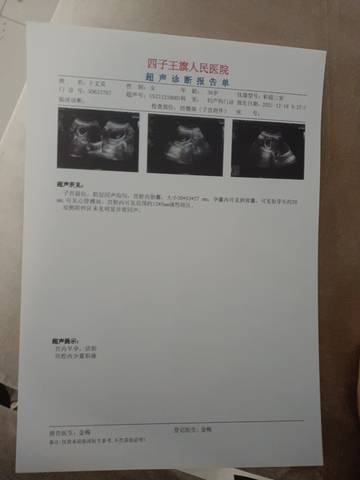 journal_insert_pic_1681897930