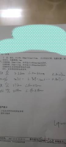 journal_insert_pic_1685241807