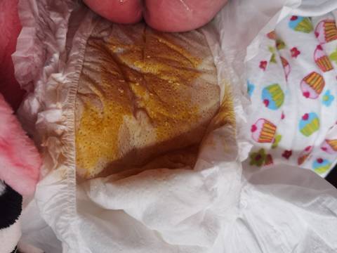 journal_insert_pic_1676600898