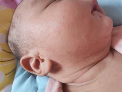 journal_insert_pic_1675530087