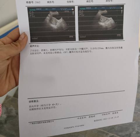 journal_insert_pic_1688128630