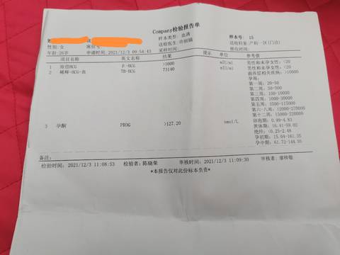 journal_insert_pic_1673568217