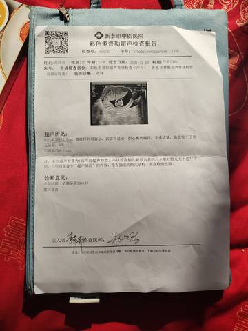journal_insert_pic_1690052408