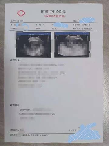 journal_insert_pic_1681065746