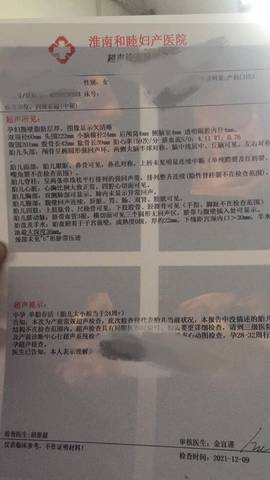 journal_insert_pic_1677684191