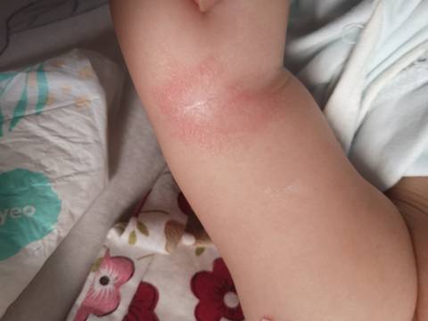 journal_insert_pic_1689543901