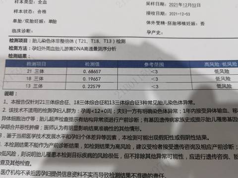 journal_insert_pic_1677538813