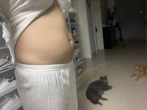 journal_insert_pic_1681751943