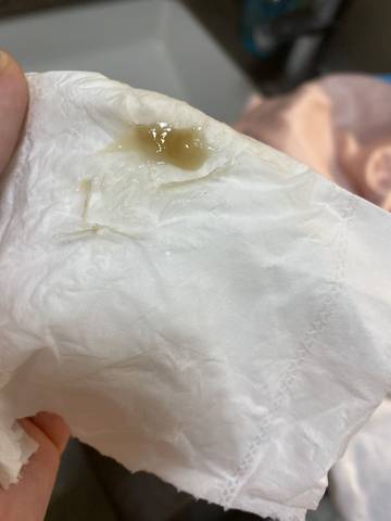 journal_insert_pic_1678064008