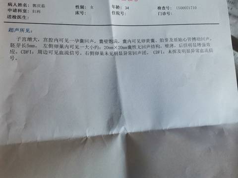 journal_insert_pic_1690128656