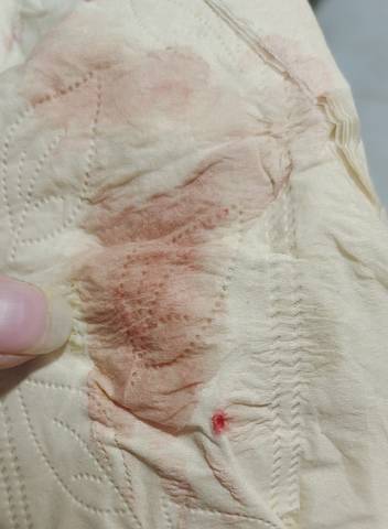 journal_insert_pic_1686816921