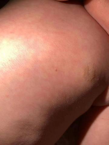 journal_insert_pic_1679452569