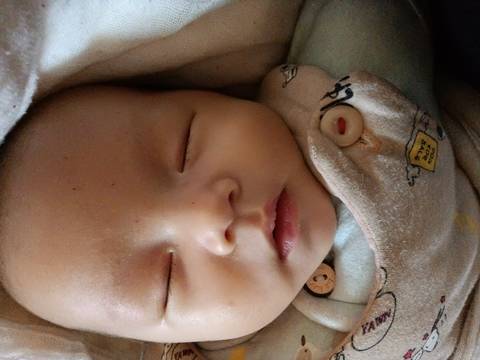 journal_insert_pic_1684223212