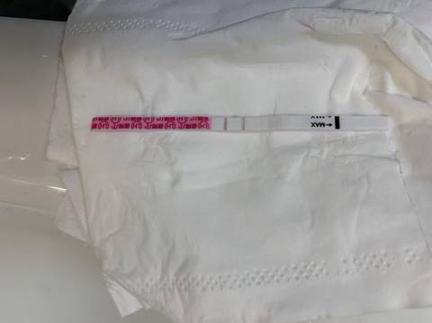 journal_insert_pic_1685724527