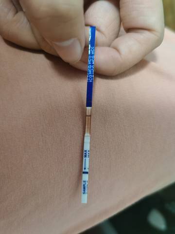 journal_insert_pic_1676016907