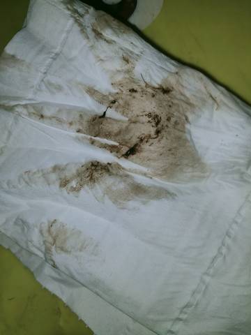 journal_insert_pic_1687355162