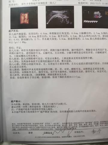 journal_insert_pic_1673500618