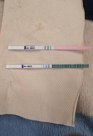 journal_insert_pic_1685727792