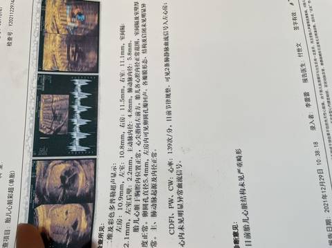 journal_insert_pic_1688376227