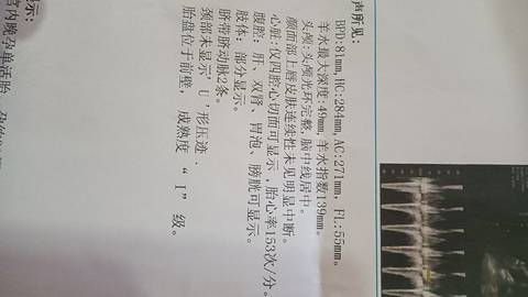 journal_insert_pic_1681273419