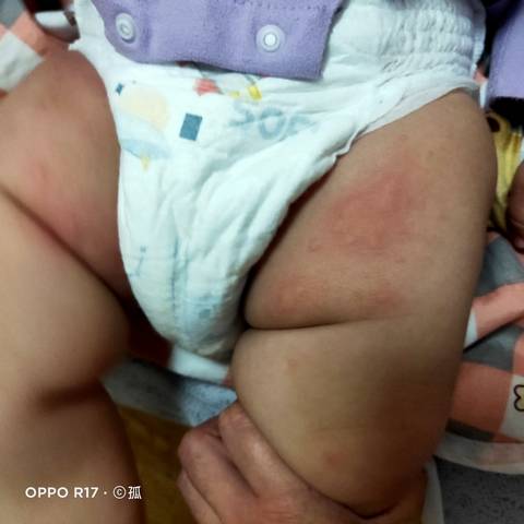 journal_insert_pic_1719526587