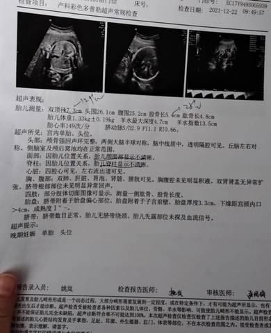 journal_insert_pic_1684514036