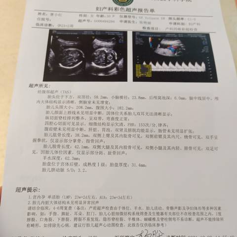 journal_insert_pic_1689342447
