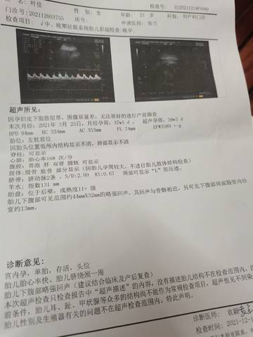 journal_insert_pic_1679830486
