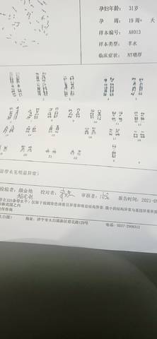 journal_insert_pic_1675374501