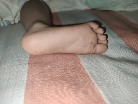 journal_insert_pic_1686215576