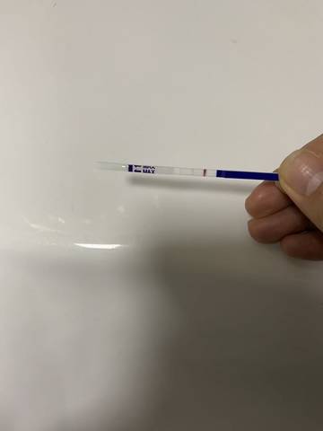 journal_insert_pic_1684132199