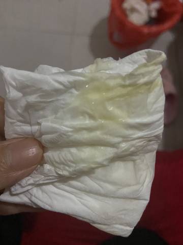 journal_insert_pic_1677538549