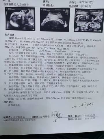journal_insert_pic_1681867088