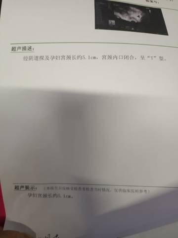 journal_insert_pic_1688947640