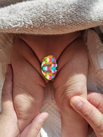 journal_insert_pic_1674408022