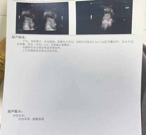 journal_insert_pic_1685373397