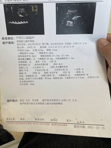 journal_insert_pic_1680126274