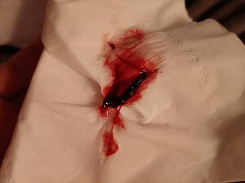 journal_insert_pic_1682663996