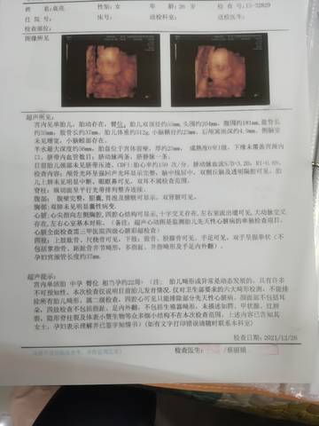 journal_insert_pic_1686555456