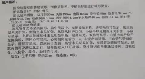 journal_insert_pic_1675082940