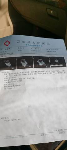 journal_insert_pic_1676248786