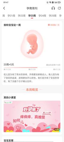 journal_insert_pic_1673988014