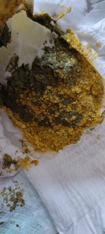 journal_insert_pic_1690218544