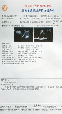 journal_insert_pic_1679558060